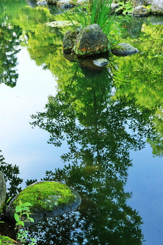 鏡水静寂