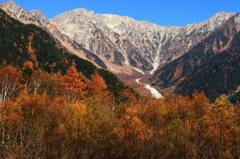 岳沢と吊尾根　そしてカラ松