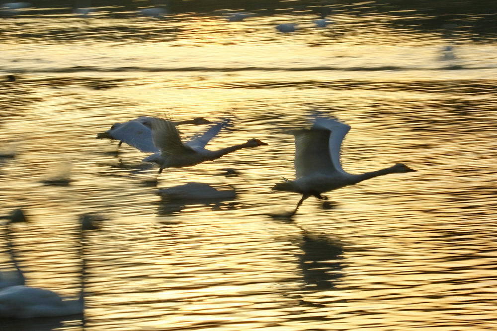 ＲＵＮＮＩＮＧ　２