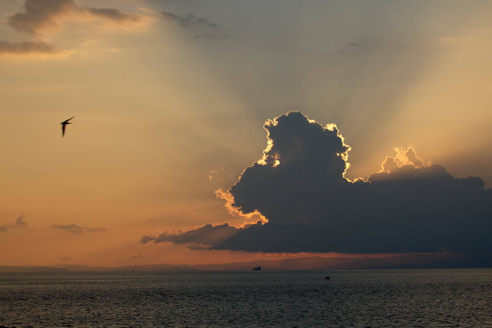 花火大会前の余興