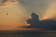 花火大会前の余興