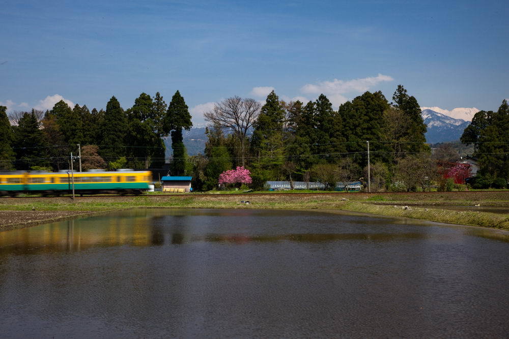 上りのかぼちゃ電車