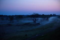 草霧の静寂