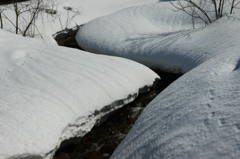 雪解け始まる