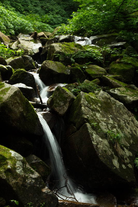 源流の小さな滝