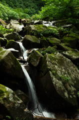 源流の小さな滝