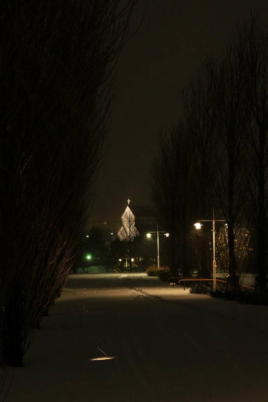 雪の先の夢