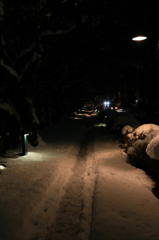 夜の散歩道