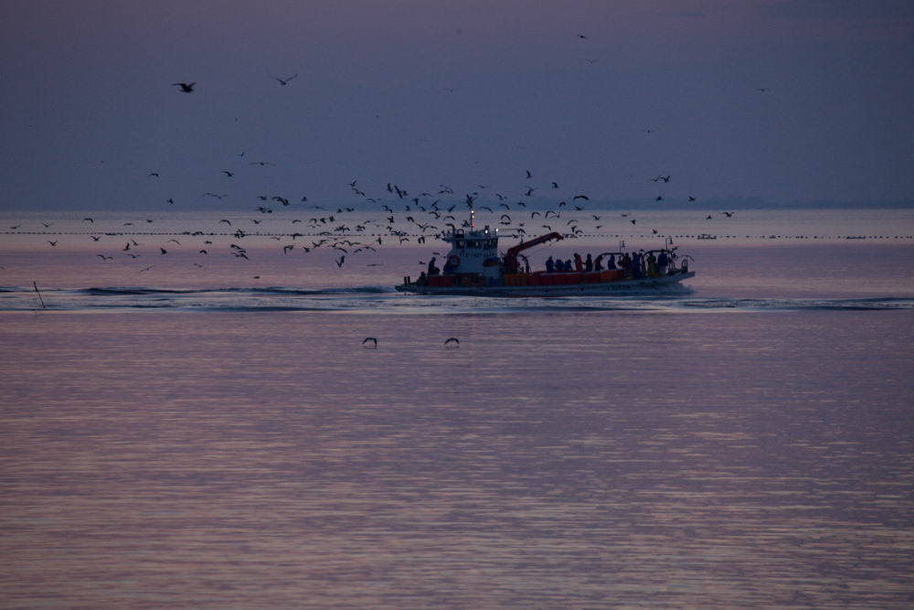 きっと大漁！！