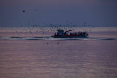 きっと大漁！！