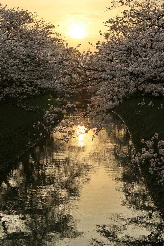 夕暮れ