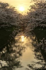 夕暮れ