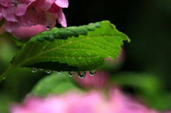 雨の日に