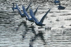 Synchronized mission (3)
