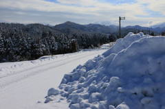 里山へ