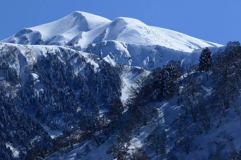 樹林帯と雪庇