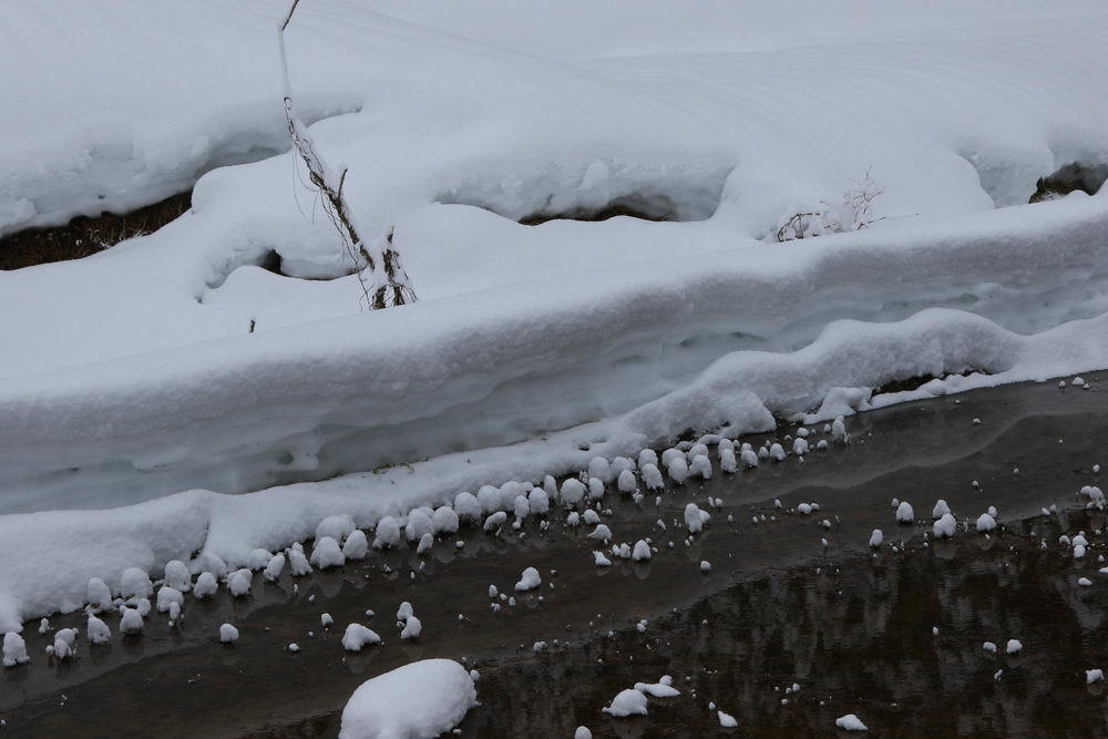 大雪小雪