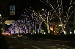 Street