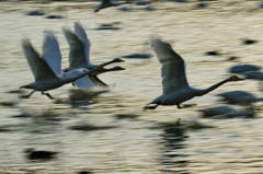 Synchronized mission (1)