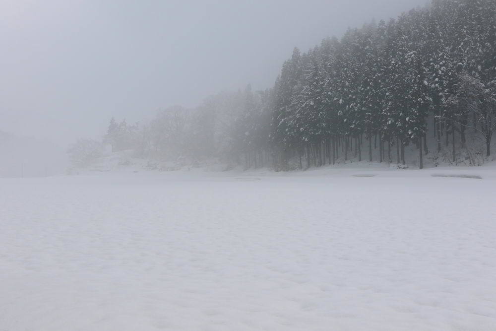 霞み