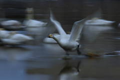 Take off １