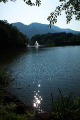 煌めきの先に・・・。