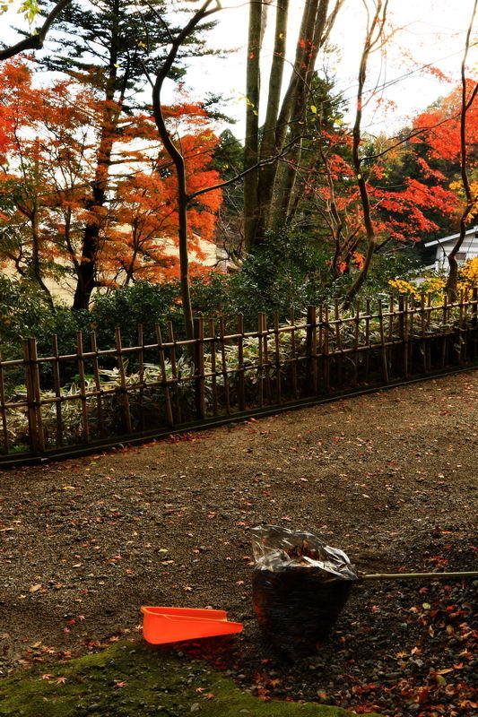 情景　１