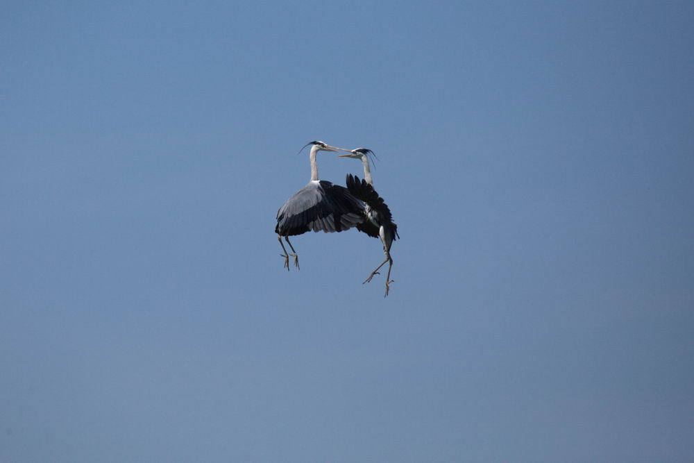 Air dancing