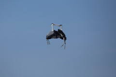 Air dancing