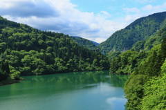 Green World