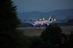 Evening flight