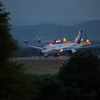 Evening flight