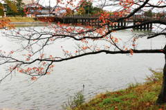 懐かしき橋