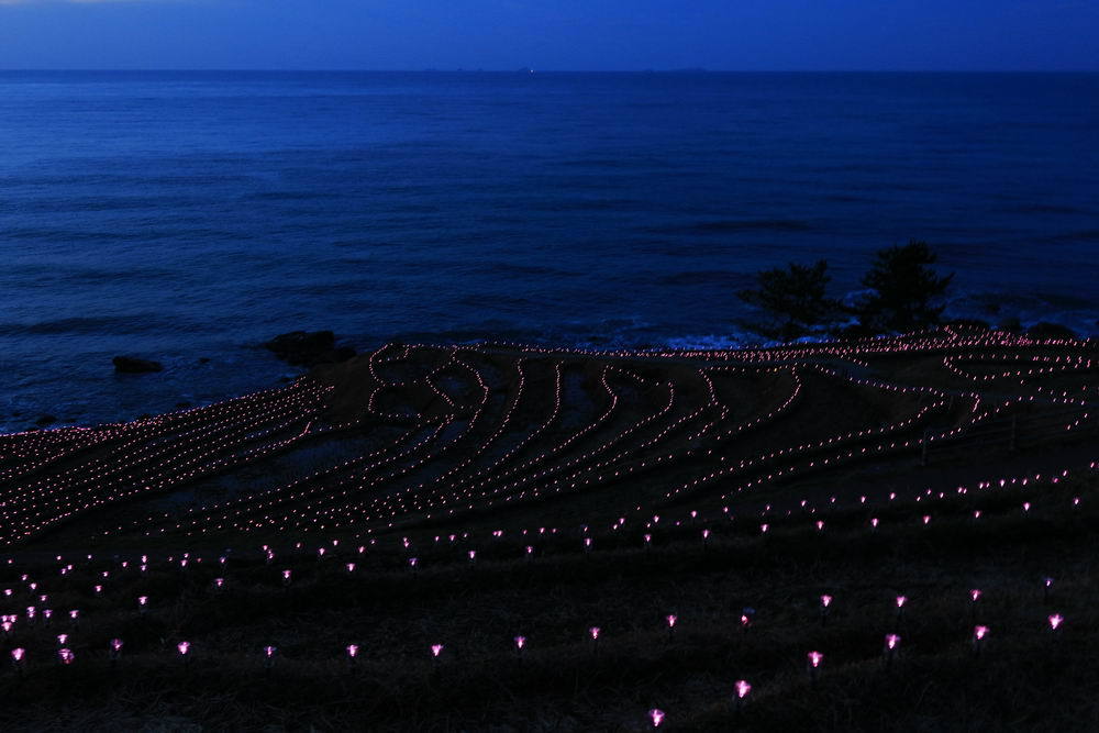 海辺の星たち