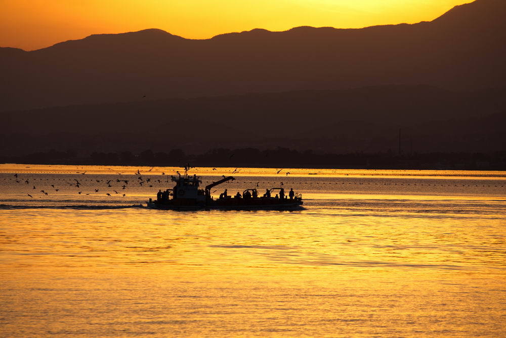 ホタルイカ大漁船