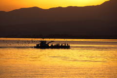 ホタルイカ大漁船