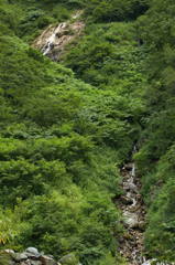 剣岳早月尾根の沢