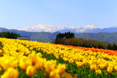 白山