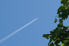 出来たてホヤホヤ飛行機雲♪