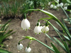 うつむいて・・・