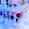 氷の世界
