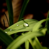 涙
