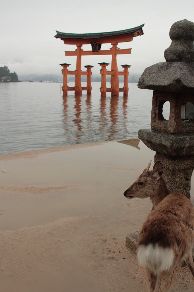雨宮島