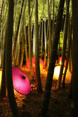 高台寺