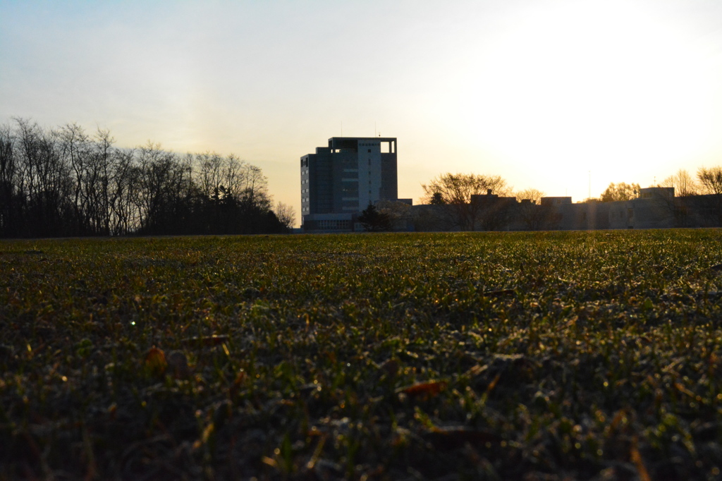 DSC_0181