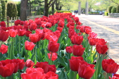 陵南公園にて