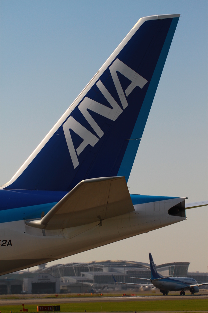 尾翼 ANA
