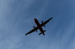 サハリン航空飛来