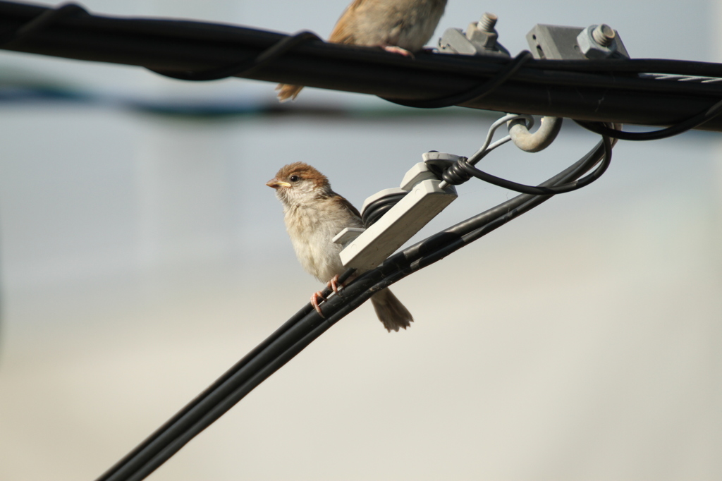 暇だな・・・--；２