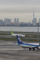 スカイツリー